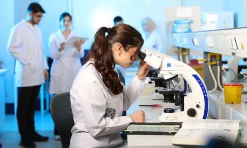Globalios naujienos: kuo gyvena universitetai visame pasaulyje?