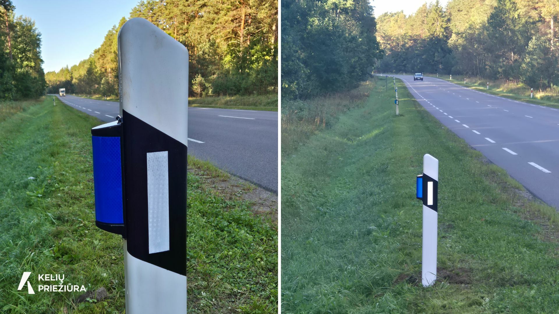 400-laukiniu-gyvunu-atbaidymo-atsvaitu-lietuvos-keliuose:-bus-vertinamas-ju-efektyvumas